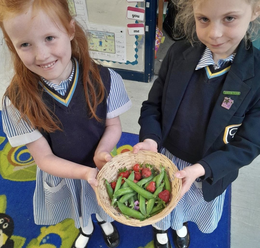 Look what we have grown in Nature Club...
