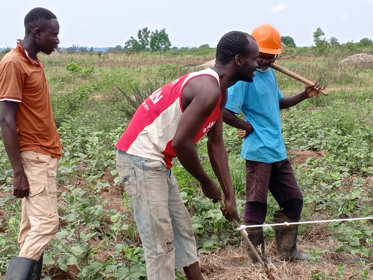 NRDIUGANDA's tweet photo. NRDI in collaboration with WWF and the Locals in efforts to restore Kangole Local Forest reserve in L.Okolitorom  Sub catchment in Bukedea District Eastern Region.#Awojarestoration https://t.co/fmZVLRG2gh
