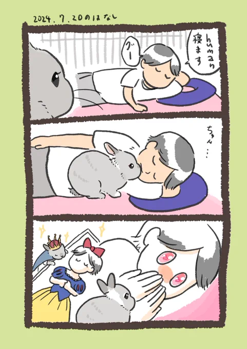 最高の目覚め👸

#うさぎのいる生活 