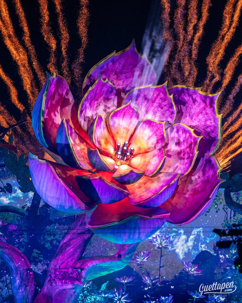 La fleur de LIFE, le thème 2024 de @Tomorrowland 🤩

📷 <a href="/sebdevinc/">S.Camelot</a> | <a href="/Guettapen/">Guettapen</a>