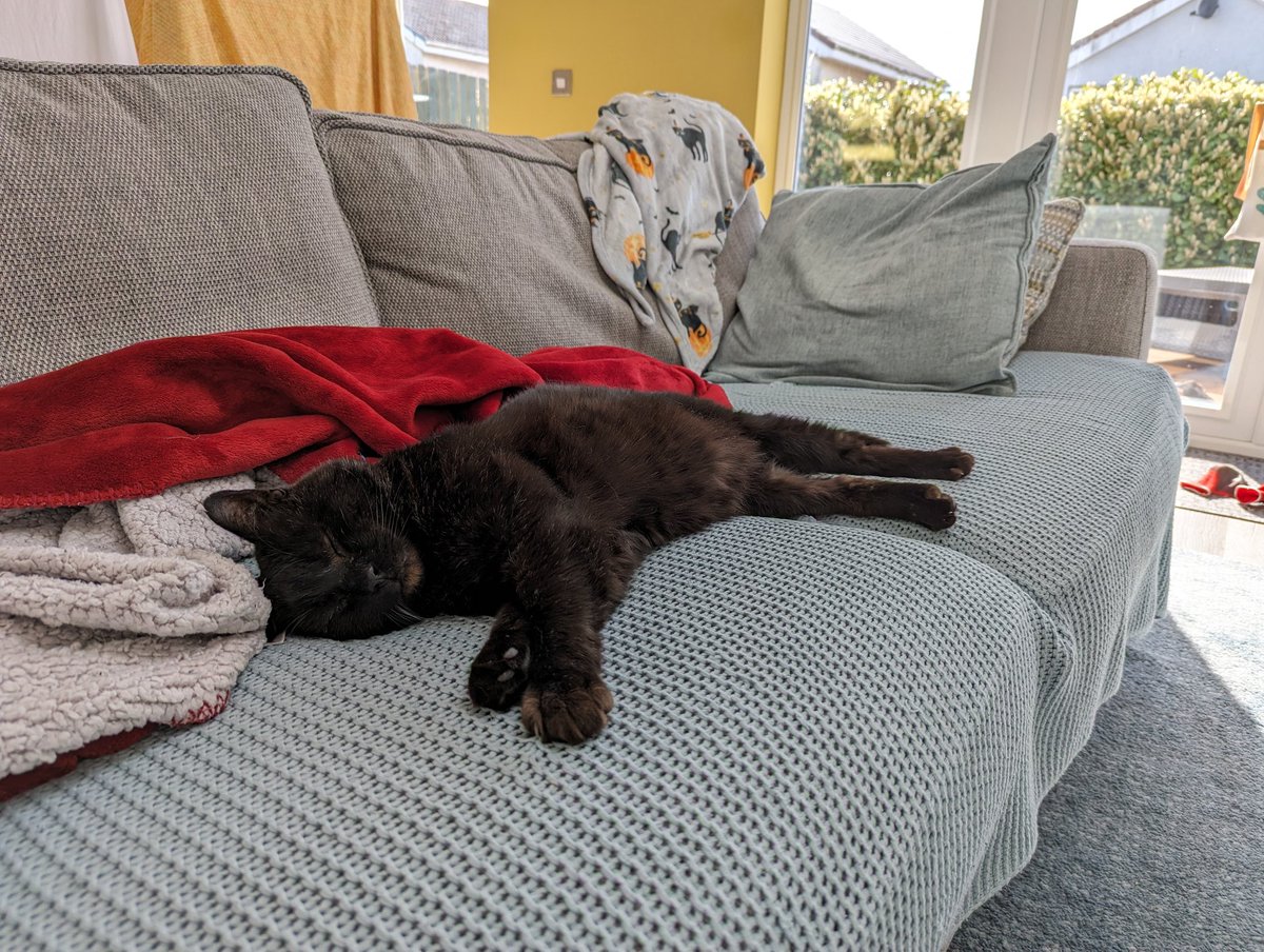 Alexceptional's tweet photo. @PostsOfCats Mackie enjoying some warm weather https://t.co/xk1ArNibcG