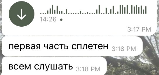 эми но не марч ✿ tweet media