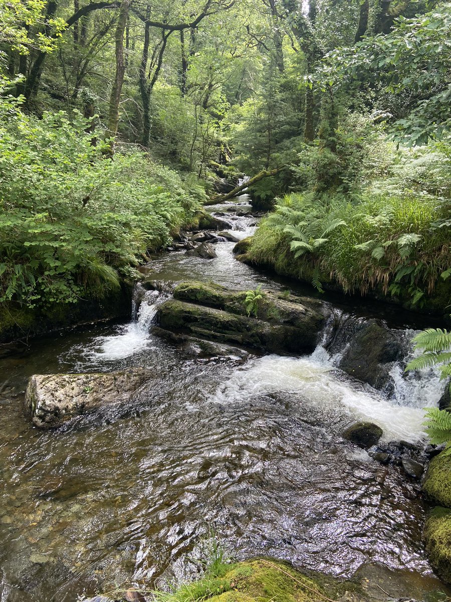 MissGHistory1's tweet photo. Just about recovered after a fantastic week @OutwardBoundUK, watching our students grow in confidence and resilience. Missed waking up to the incredible views. https://t.co/zzenSol7vs