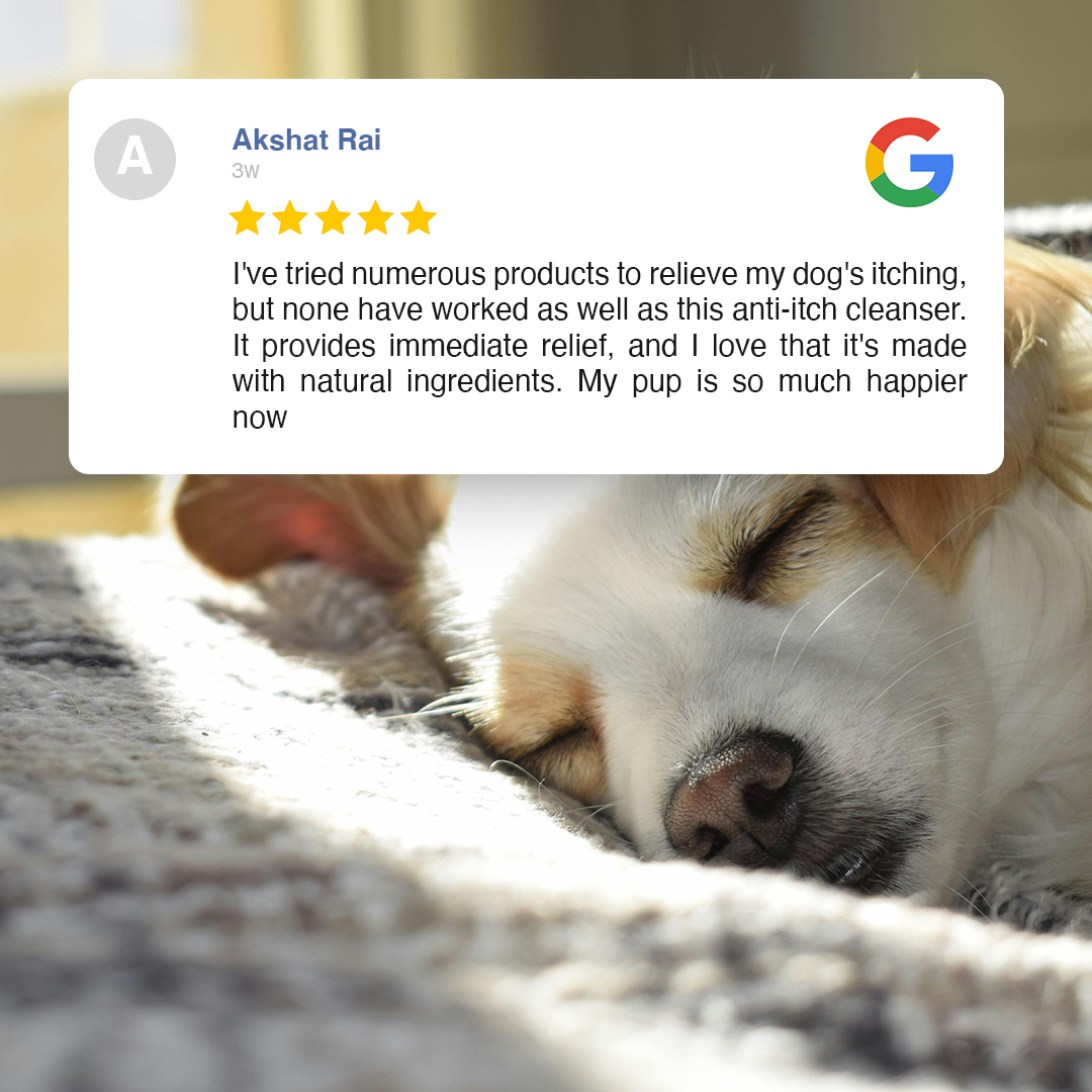 hoomanely's tweet image. We received a glowing review for our Anti-Itch Cleanser! Made with natural ingredients, it immediately relieves your dog&apos;s itching. Experience the same happiness for your pet kiddo with Hoomanely&apos;s Anti-Itch Cleanser!
#Hoomanely #NaturalIngredients #SafeForDogs #SafeForNature