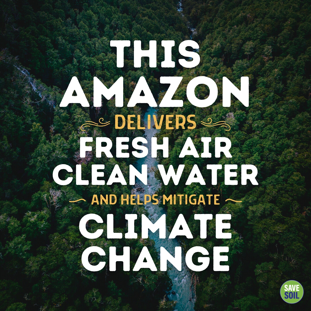 cpsavesoil's tweet photo. Behold the natural courier of life's essentials, the iconic Amazon Rainforest.

A global treasure yielding not only the oxygen we breathe and the water we drink but also serving as a vital buffer against the climate crisis.

#SaveSoil https://t.co/AxRjbr0hVO