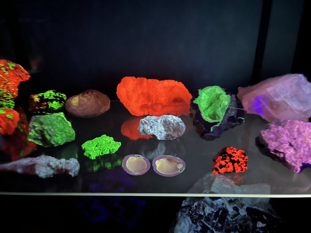 kgny21's tweet photo. Special #MapPin trip shoutout to @UWGeologyMuseum … we’ve been to a LOT of museums over 34 states and this is by far one of the BEST and it’s FREE. If you find yourself in Madison WI, please go visit. (They even have Herkimer Diamonds!!) https://t.co/ZUtY4ZkusR