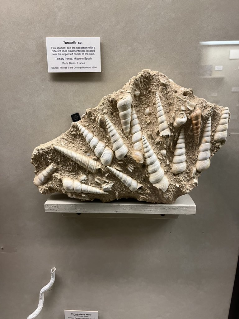 kgny21's tweet photo. Special #MapPin trip shoutout to @UWGeologyMuseum … we’ve been to a LOT of museums over 34 states and this is by far one of the BEST and it’s FREE. If you find yourself in Madison WI, please go visit. (They even have Herkimer Diamonds!!) https://t.co/ZUtY4ZkusR