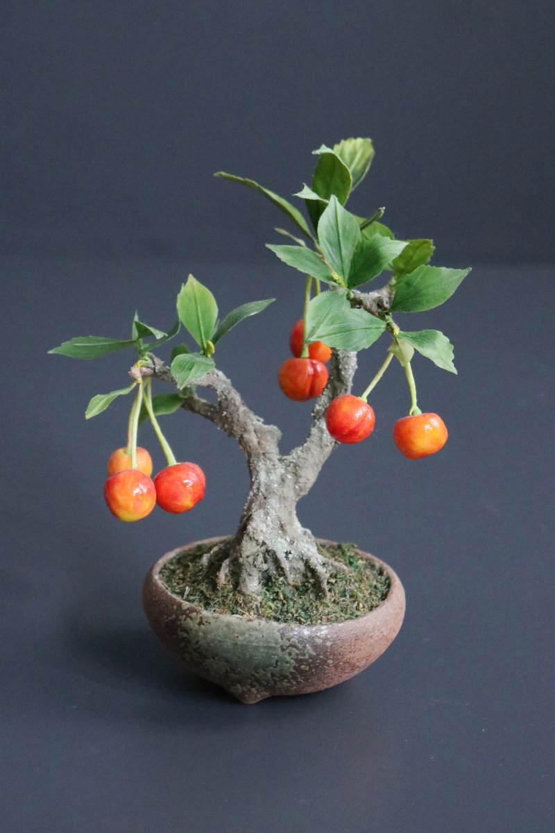 Oh_Bonsai's tweet photo. Hand-made #cherry #bonsai, using clay, paper and wire. Available to ship overseas.

新作 #サクランボ🍒
樹脂粘土に絵の具で色付けした手作りの盆栽作品です。
H20　W15　D13

手土産や桐箱入贈答品としてもいかがでしょう。

📱050-5898-3524
（tel受付は水・日・祝を除く11時～17時) https://t.co/cNdbnfLDO6