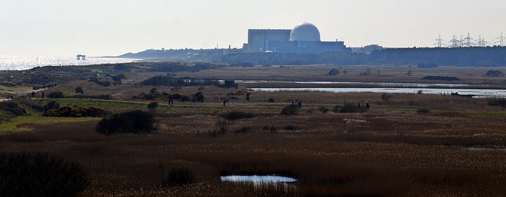 JoCo 🇬🇧 tweet media