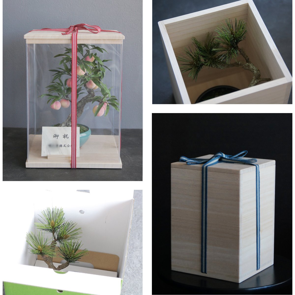 Oh_Bonsai's tweet photo. Hand-made #cherry #bonsai, using clay, paper and wire. Available to ship overseas.

新作 #サクランボ🍒
樹脂粘土に絵の具で色付けした手作りの盆栽作品です。
H20　W15　D13

手土産や桐箱入贈答品としてもいかがでしょう。

📱050-5898-3524
（tel受付は水・日・祝を除く11時～17時) https://t.co/cNdbnfLDO6