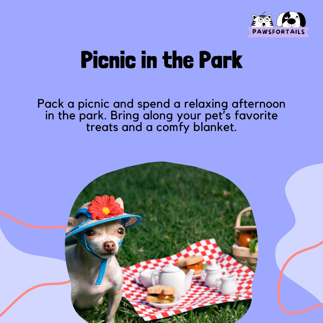 pawsfortailsind's tweet image. 🐶🐱 Make the most of your weekend with these fun activities!#WeekendWithPets #PetActivities #PetFun #PawsForTails #PetParenting #FurFamily #HappyPets #PetBonding #PetWeekend #PetAdventure