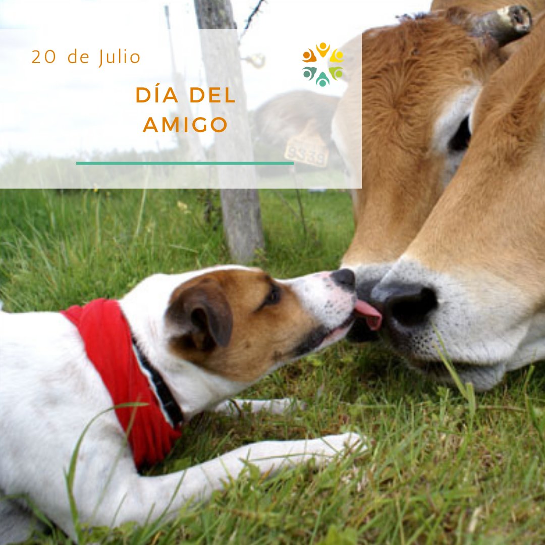 Entre risas compartidas, complicidad innegable y recuerdos que perduran, celebremos hoy la amistad verdadera. 

¡Feliz día del amigo, compañeros de la vida! 🫂💫

#20DeJulio #DíaDelAmigo