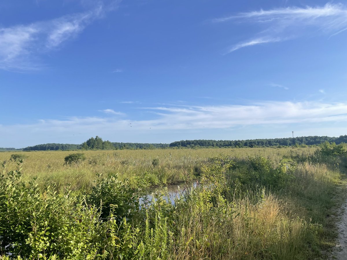 runninggriffin's tweet photo. Absolutely gorgeous morning for a run. Changing up the scenery and street running today for some beautiful trails and views at Burrage Pond Wildlife Sanctuary in Hanson, MA. Get outside, smile, laugh and enjoy life! #running #runchat #saturdaymorning #sunshine #runrise #livelife https://t.co/1njamu6s8q