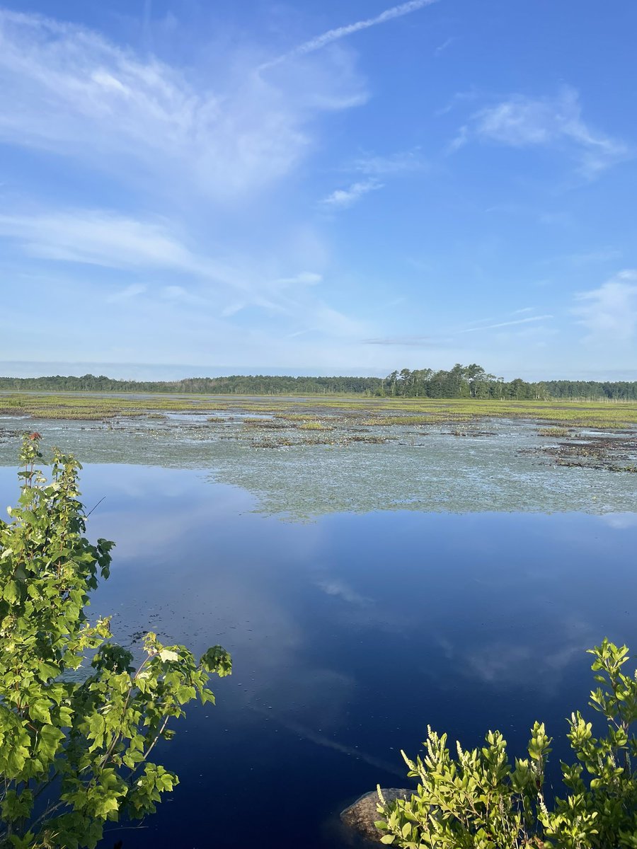 runninggriffin's tweet photo. Absolutely gorgeous morning for a run. Changing up the scenery and street running today for some beautiful trails and views at Burrage Pond Wildlife Sanctuary in Hanson, MA. Get outside, smile, laugh and enjoy life! #running #runchat #saturdaymorning #sunshine #runrise #livelife https://t.co/1njamu6s8q