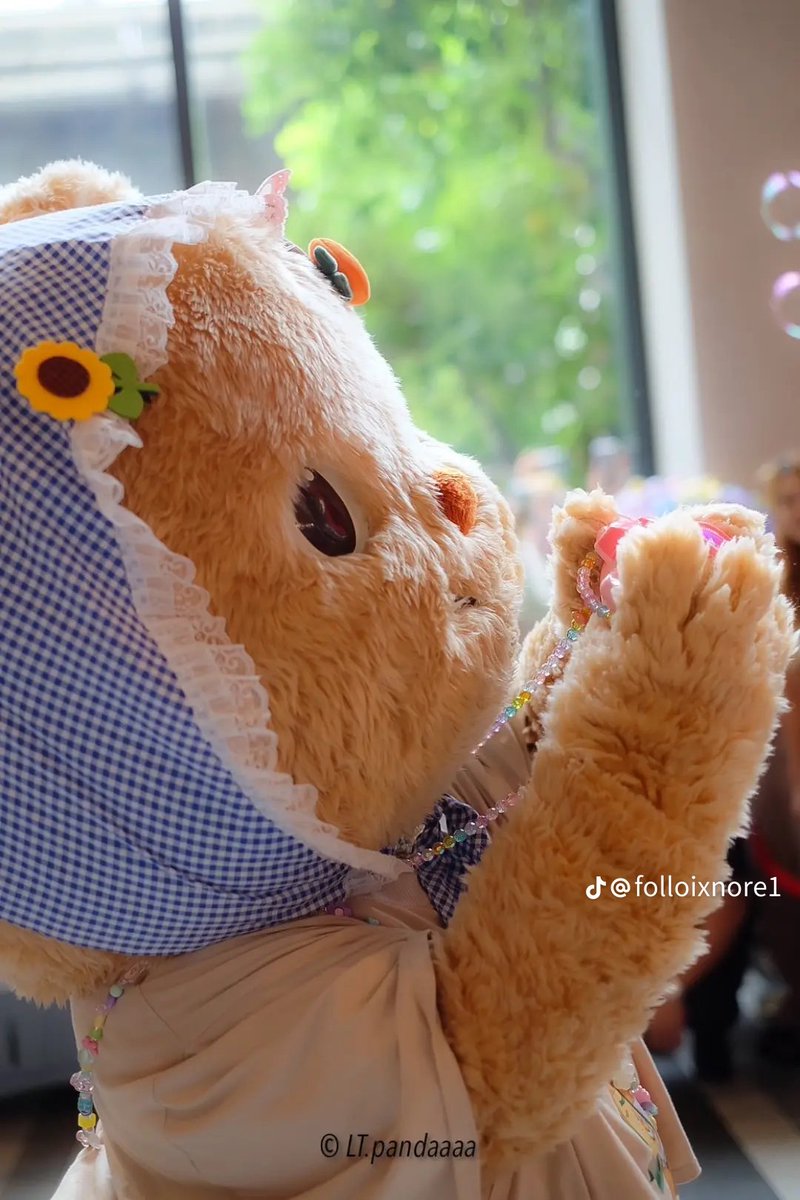 SPNK_XXL's tweet photo. เจ้าเด็กๆ ~ น่ารักจัง ❤️🐻🌻 

#ด้อมน้องเนย #Butterbear

Cr. : On pic https://t.co/wP3zmjw0Eq