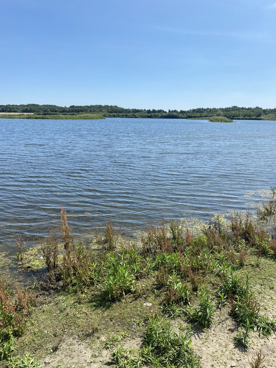MarkPLAYFORD3's tweet photo. @Harps19712 For the first time in 12 months after foot surgery I was out yesterday on my bike at st Aidans country park. #breathtaking #yourinspirational #fun&amp;sunshine #fitnesss #greattobeback https://t.co/WRqZszPmgF