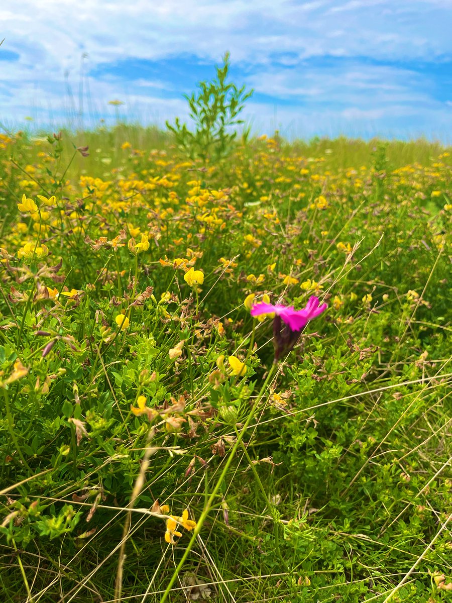 Een heerlijke dag op een heel bijzondere plek, de #markerwadden, in de woongemeente van <a href="/VanEgters/">Tjeerd van der Zwan</a> en <a href="/VanFean/">Jaap van Veen</a>. Bedankt voor de uitnodiging Tjeerd!