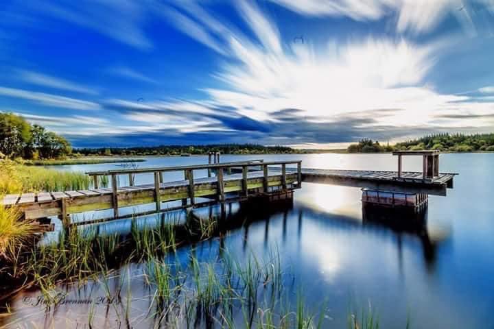 IrelandTrails's tweet photo. Derryounce Lakes &amp; Trails Portarlington.  #getoutmore https://t.co/snsG5eoICm