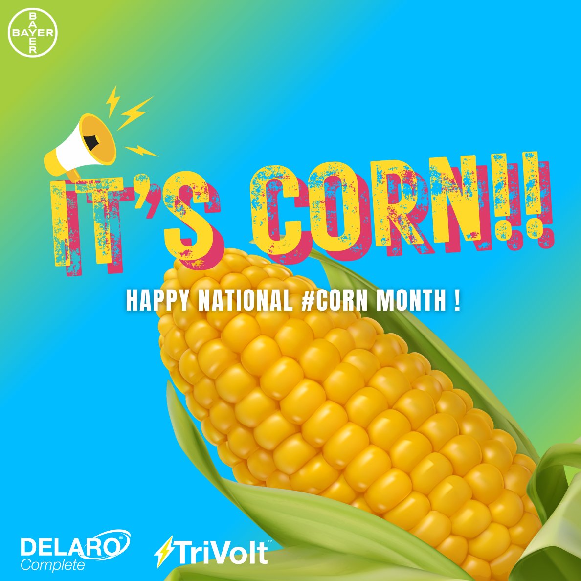 BayerCropProUS's tweet photo. #ItsCorn Month! 🌽 Share your favorite #Corn dish with us 💛 

#July #CornMonth #BayerCropProtection #Trivolt #DelaroComplete https://t.co/SIHAp7UyjT