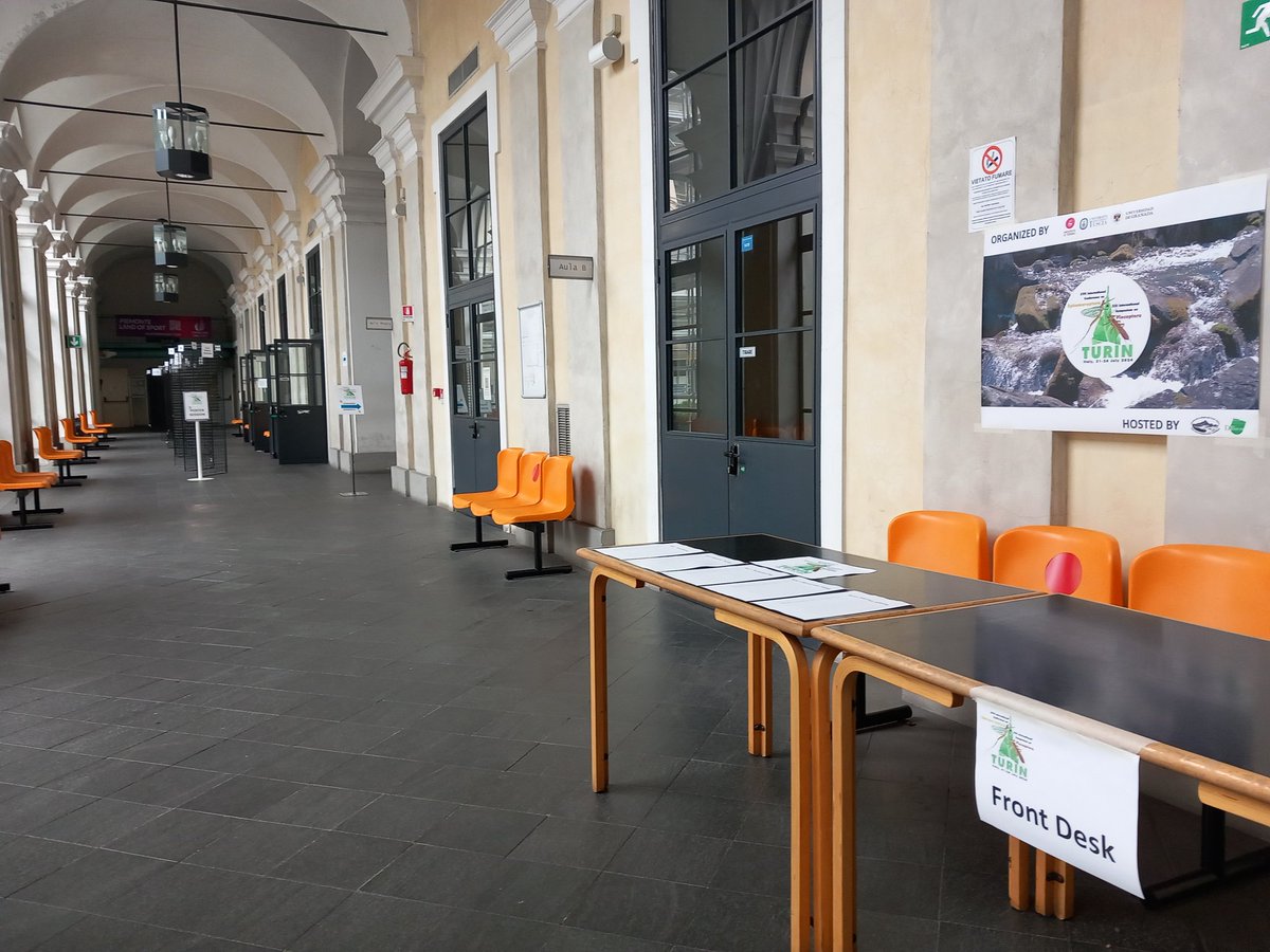 Simone Guareschi (@s_guareschi) on Twitter photo 