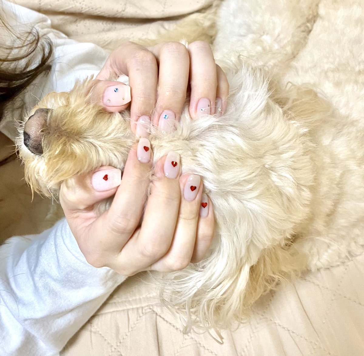 0511chan's tweet photo. 爪替え記録
エゴサワード ネイル https://t.co/BwVBUZSCZF