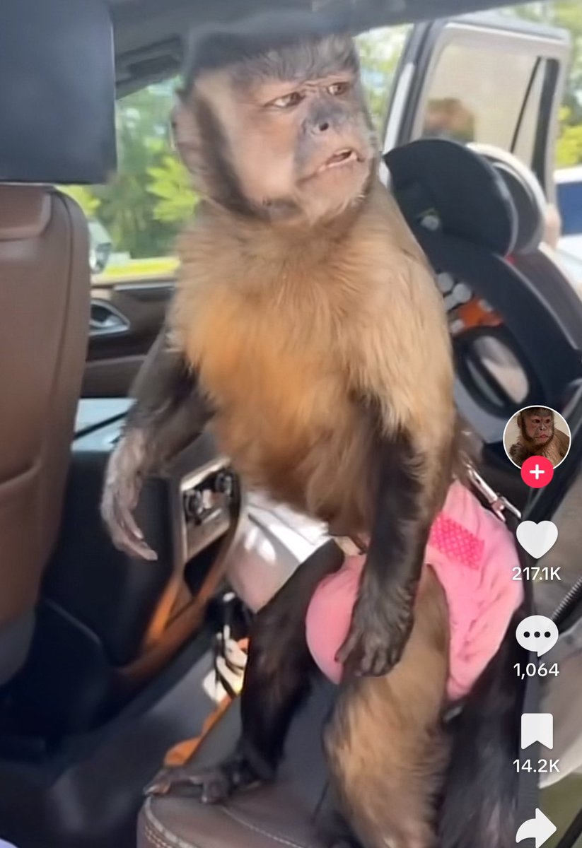 Checking the street for recycling bins