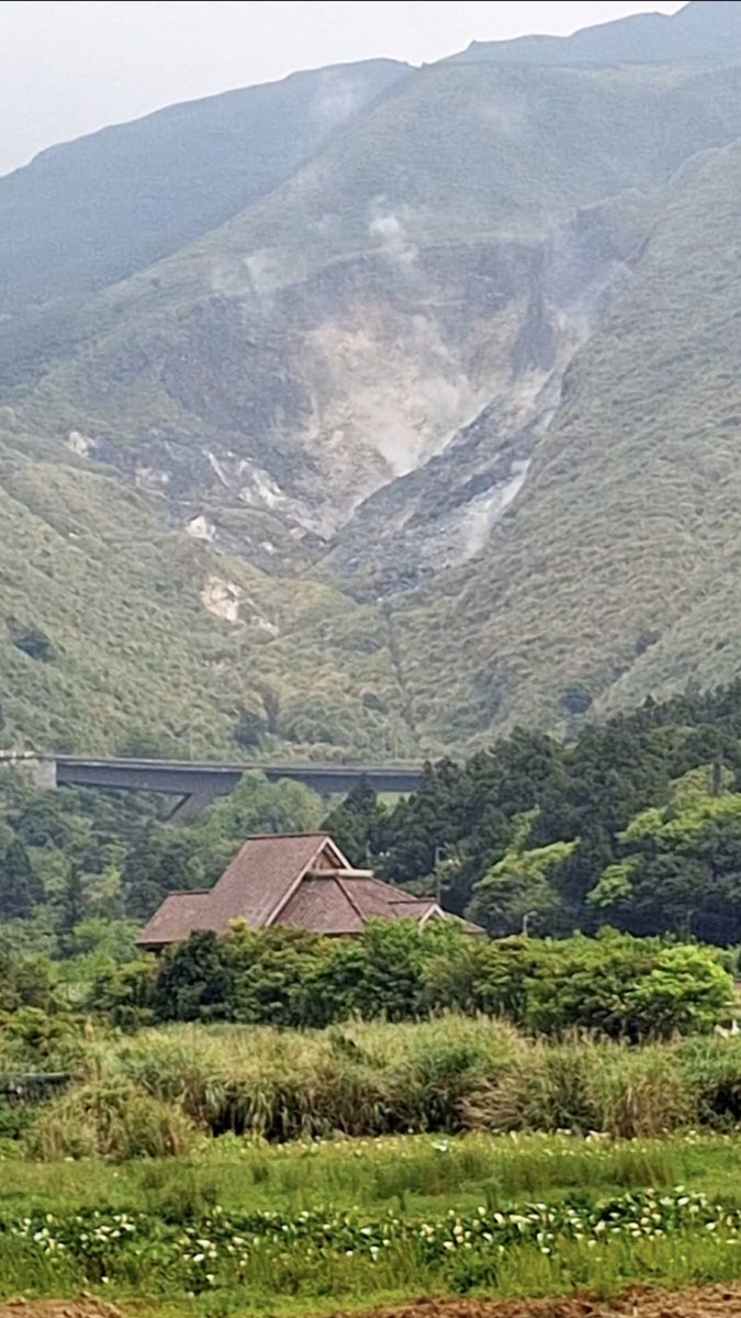 Awesome_Karate's tweet photo. 芋見小時候  2024 陽明山竹子湖海芋季 | 竹子湖 海芋園 陽明山 台北 | Calla Lily Yangmingshan Bamboo Lake Taipei | 陽明山竹子湖カラーリリー祭り

https://t.co/acQ4r11wlw https://t.co/jwjR7jNdQH