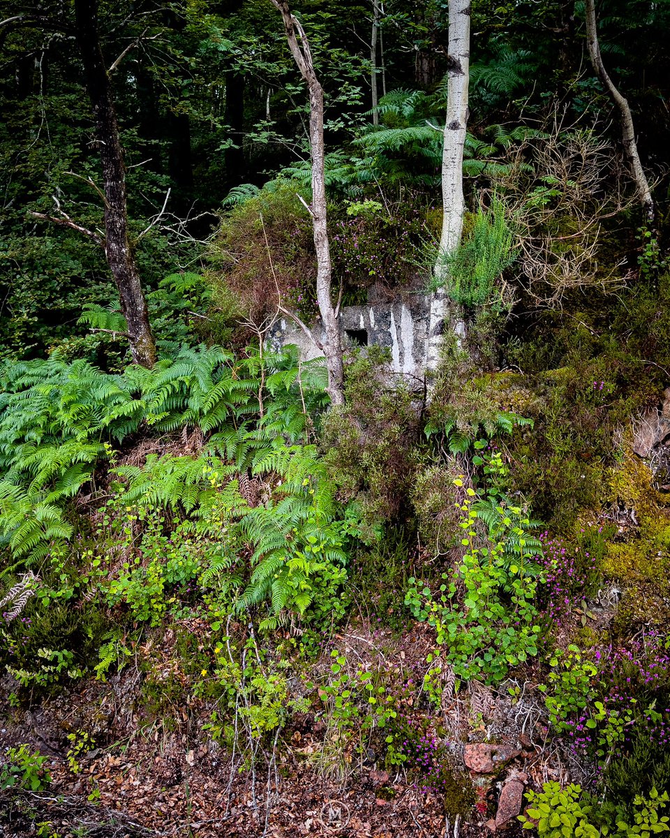 markstothard's tweet image. Spent a few hours on my academic Defencology research this morning.

Anti Tank Horizontal Rail : e30587

Description: One half of a roadblock with inserts for horizontal rails.

© Mark Stothard MA ARPS

#wwii #ww2 #pillbox #fortwilliam
