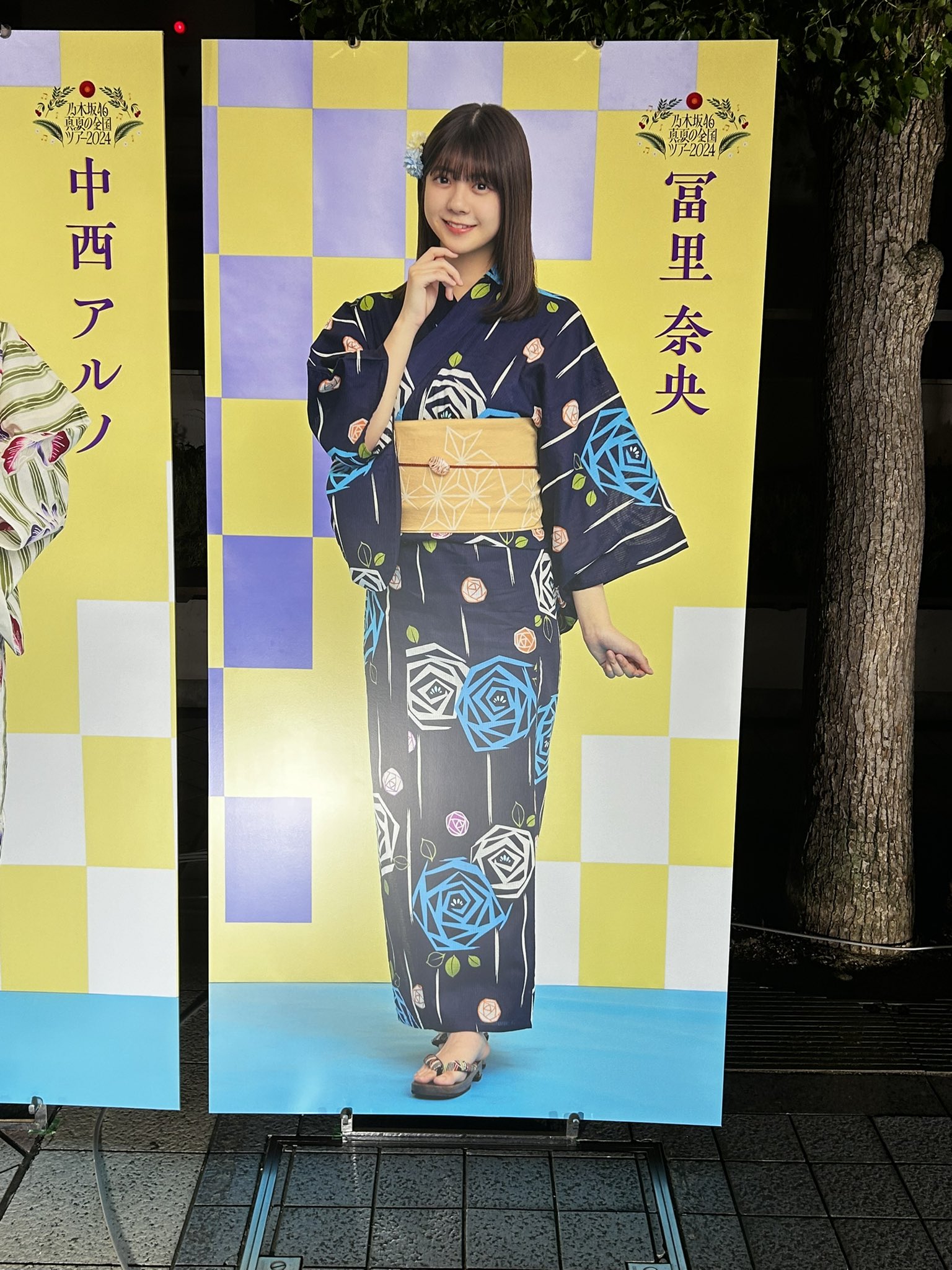 Amazon.co.jp: 乃木坂46 冨里奈央 真夏の全然ツアー2024 Big
