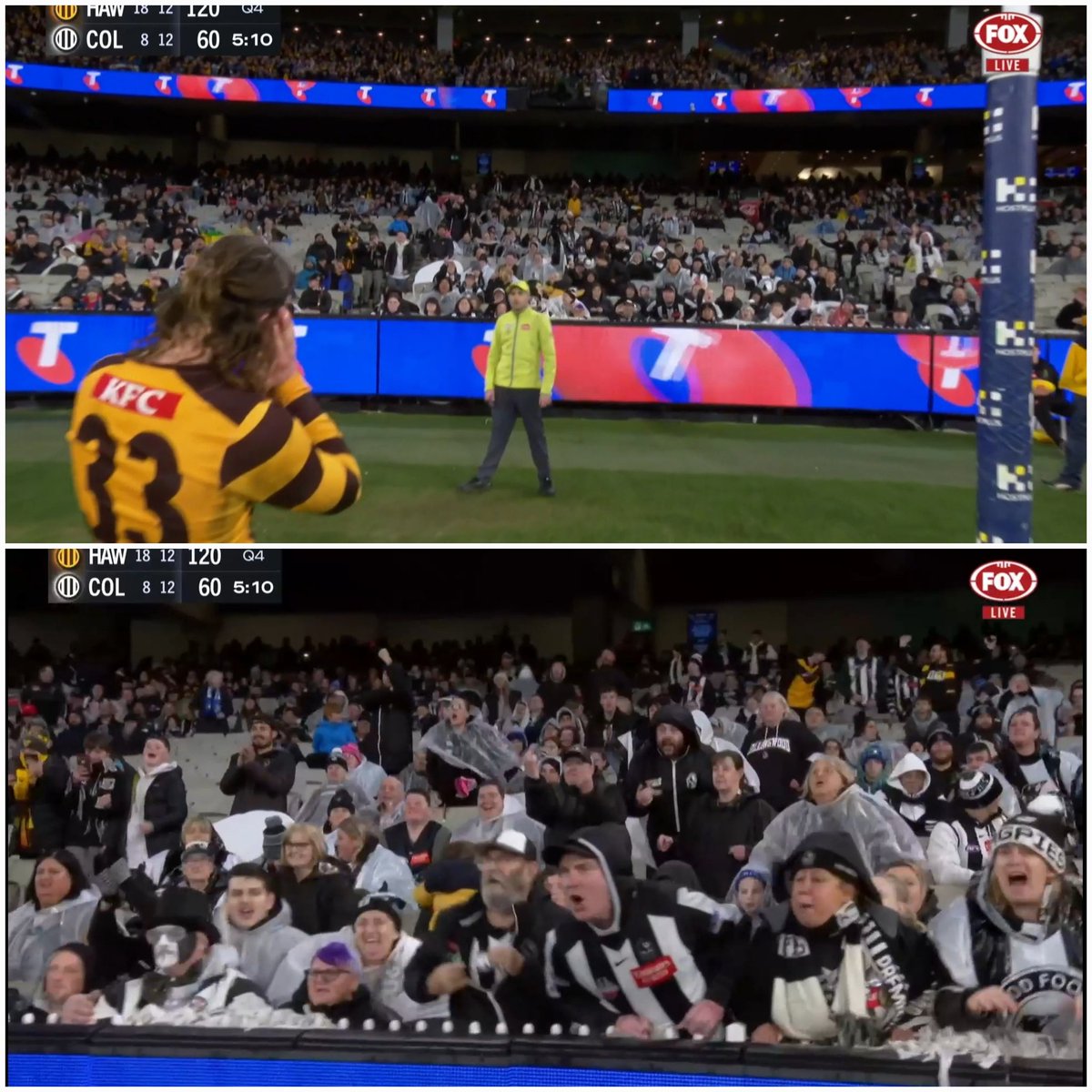 lehmans81's tweet photo. Good night @CollingwoodFC 
#AFLHawksPies https://t.co/tzUC6jYfZe