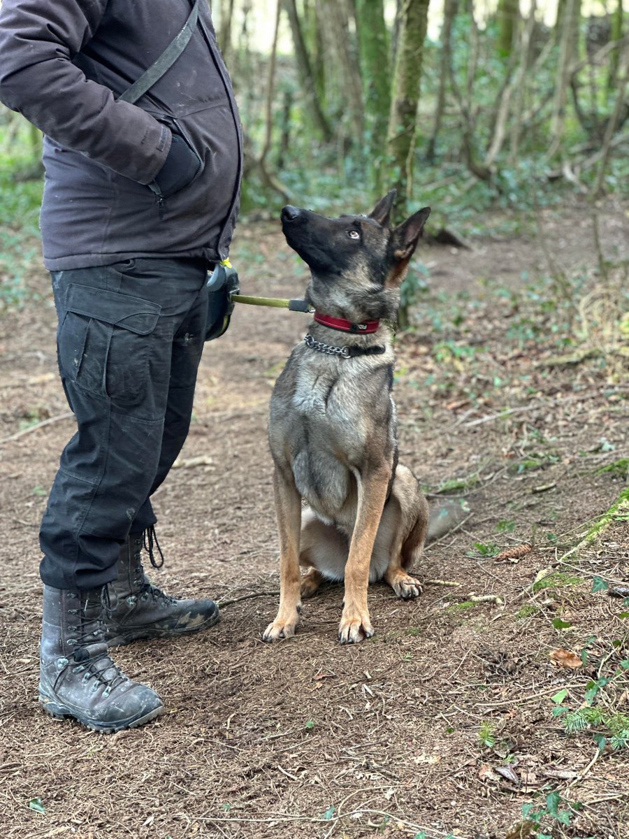 gsrescueelite tweet picture