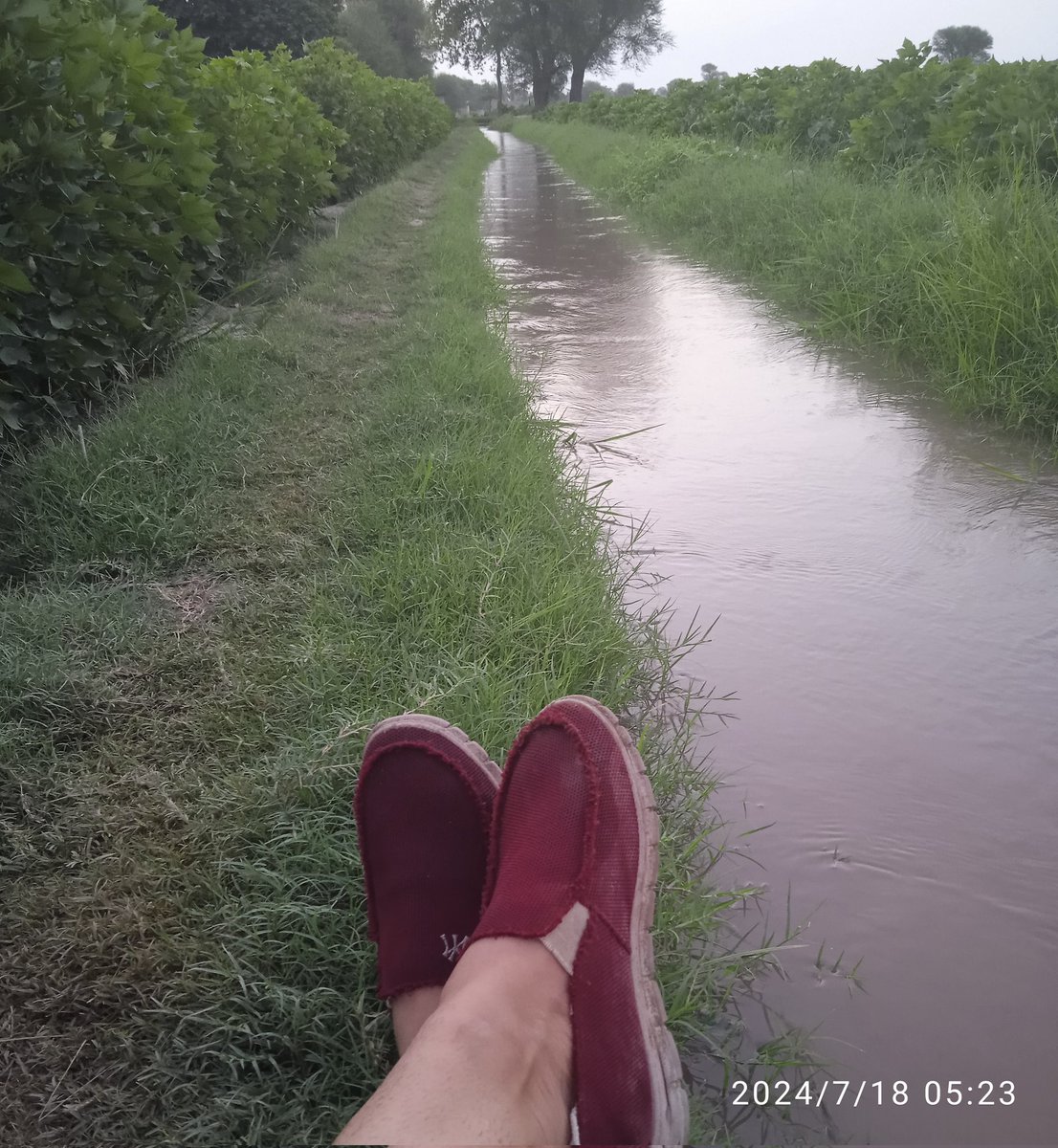 zar30233's tweet photo. #MorningVibes walks refresher! #MyMoto Enjoy whatever you can instead of crying for what you don't have! https://t.co/1jLcZXYcFh