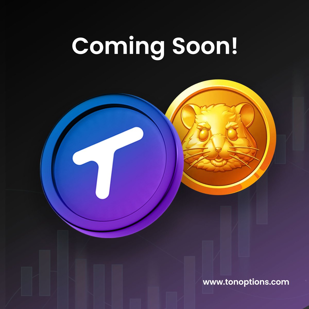 Tonoptions tweet picture