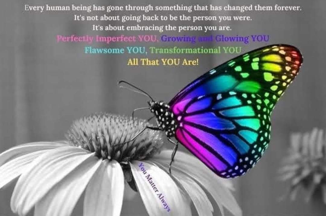 SuzieYMA's tweet photo. 'We delight in the beauty of the butterfly, but rarely admit the changes it has gone through to achieve that beauty.' (Dr Maya Angelou) π¦ππ¦ #YouMatterAlways #PersonalGrowth #growthroughwhatyougothrough #perfectlyimperfect #practicemakesprogress #progressmakespossibilities https://t.co/PPipBJvrFb