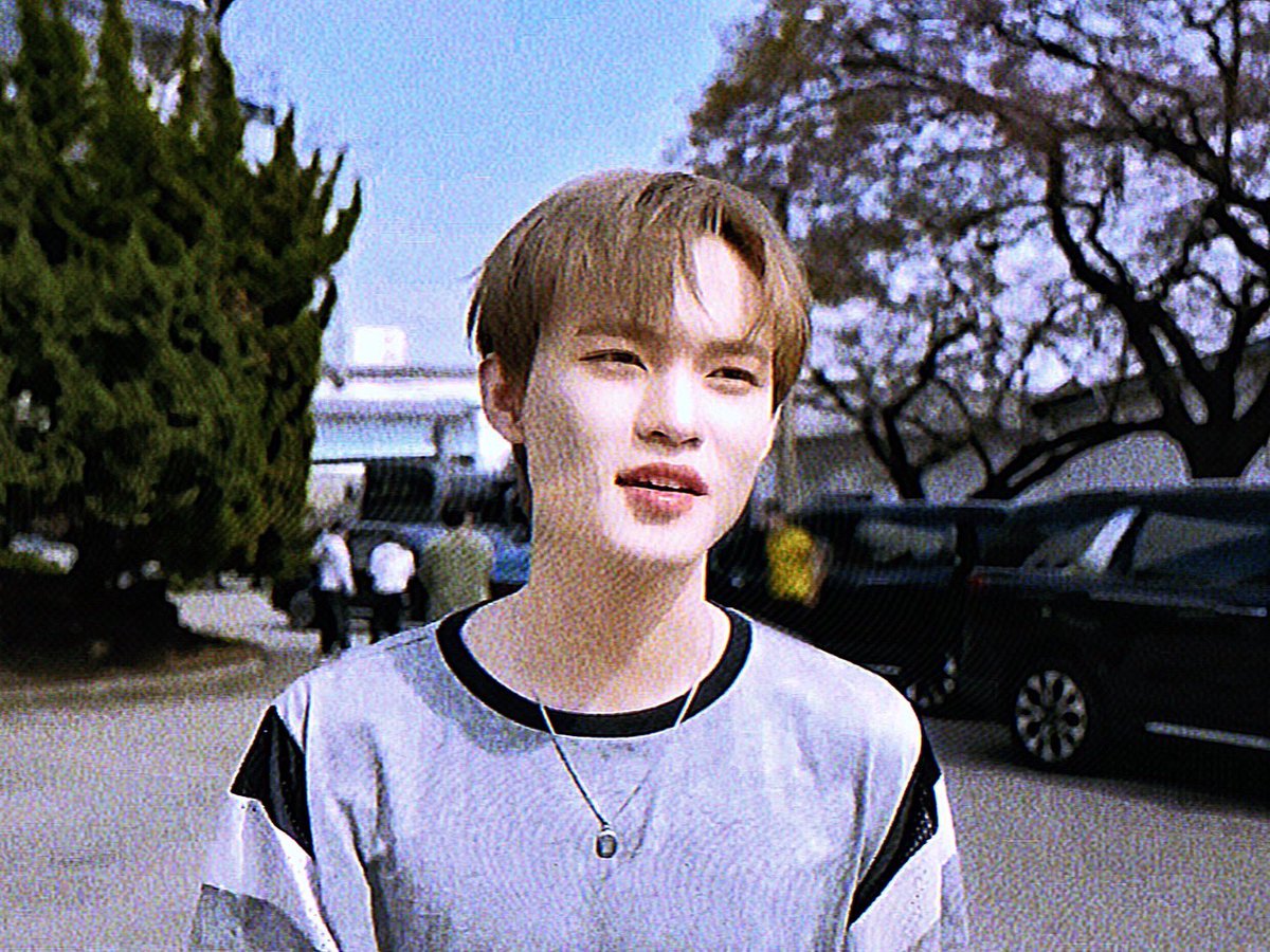 aura🐢 CHENLE SOLO 灿 — kinda ia tweet media