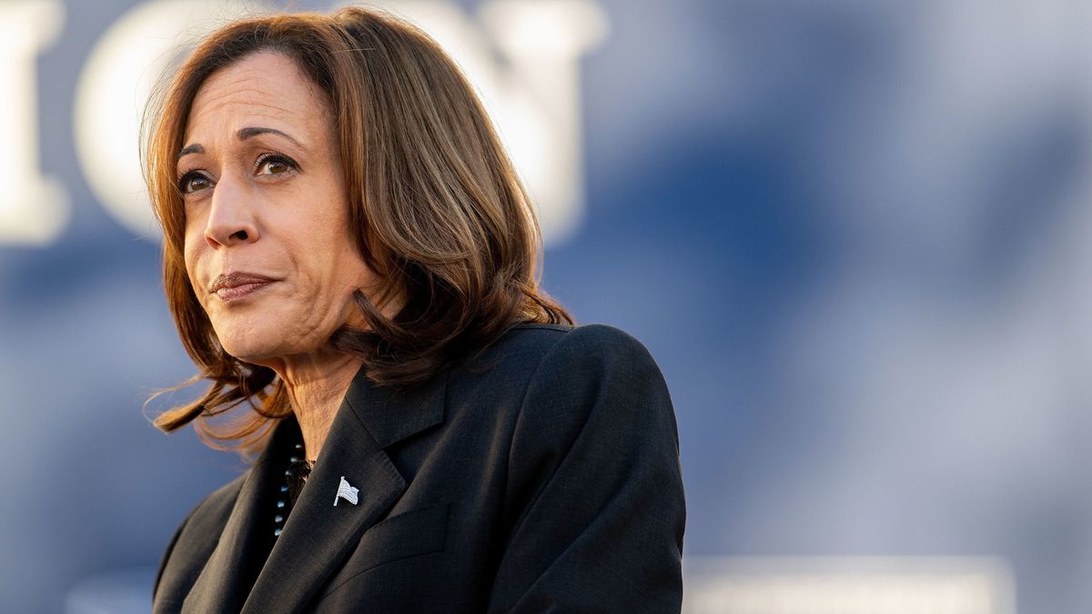 VP Harris positioned for top of the ticket should Pres. Biden 'pass the torch' abc7ne.ws/46eK7fV