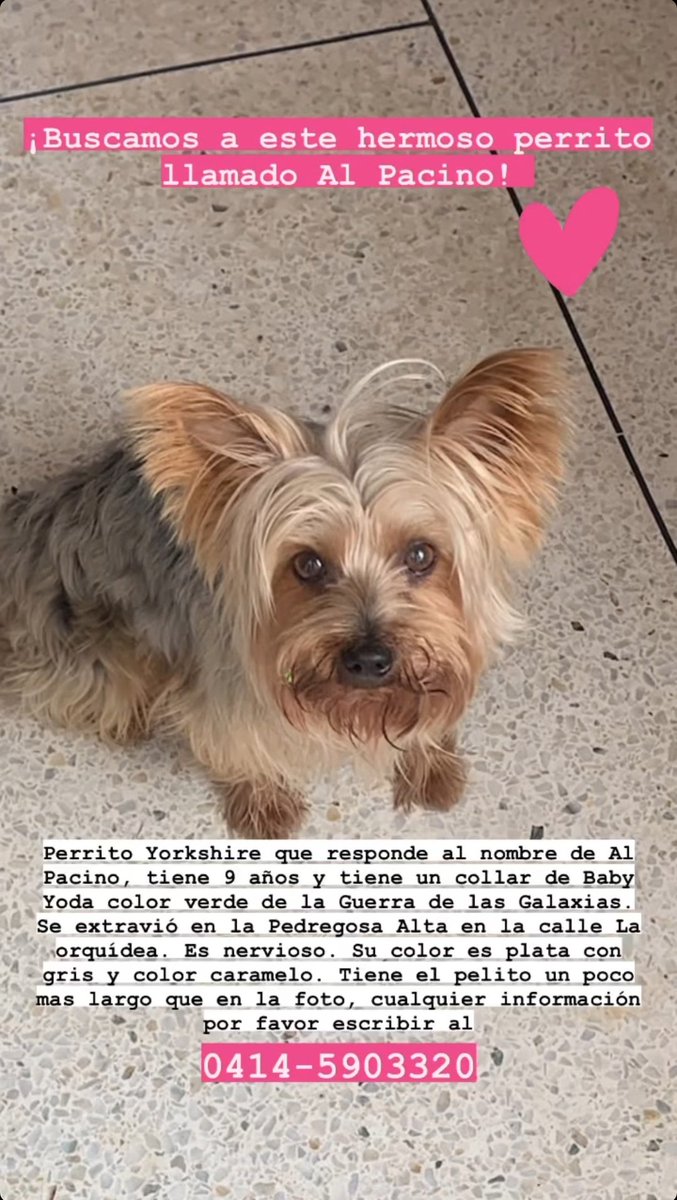 RickRod2's tweet image. 