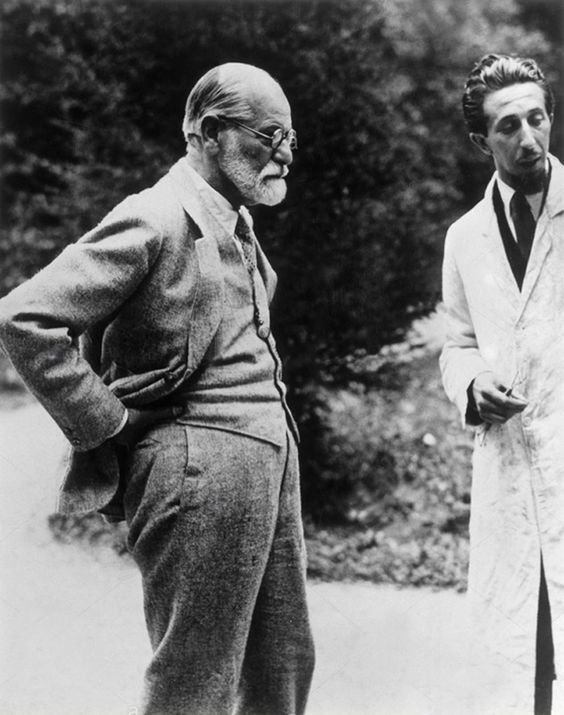 "Te Vas a Psicoanalizar o no estúpida?"