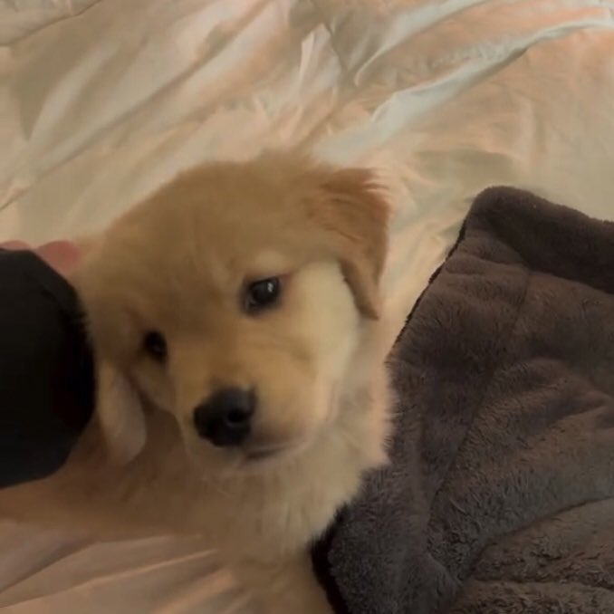 รักเค้าที่สุดรึป่าว ตอบดีๆนะ ไม่งั้นจะเยี่ยวใส่ที่นอน