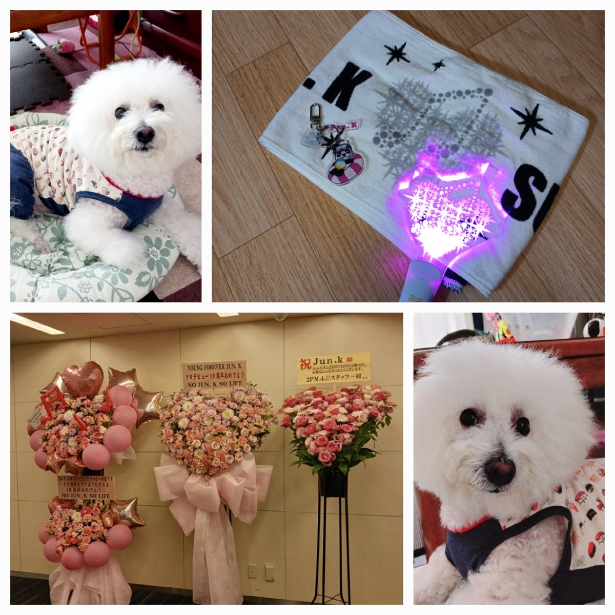 3Erumo3's tweet photo. #JUN.K  #SUMMERROOM tour2024 https://t.co/eD6KGXeSau