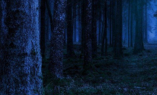KilenaShrelack's tweet photo. Chapter 2 is available to everyone now!
https://t.co/HST96EvdT0
If you would like early access to chapters, I share them to my Patreon subscribers a week early.
https://t.co/0iIsrEzYJO
#fantasy #fiction #booktok #knights #dragons #vampires #magic #rogue #writer #femaleprotagonist https://t.co/zQGWme2ae4