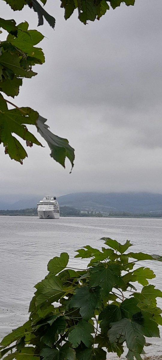 Wild Bute tweet media