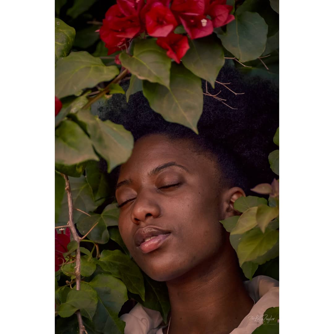 Ms. Taylor 🌻 tweet media