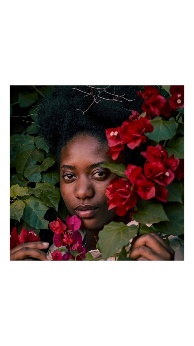 Ms. Taylor 🌻 tweet media