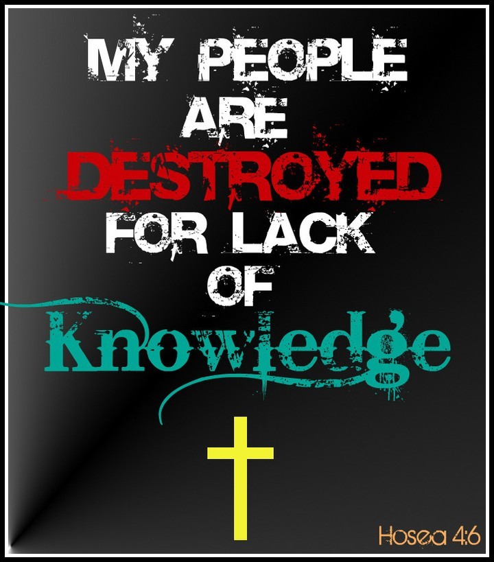 PropheticRay's tweet photo. 🔥 #FOLLOW for more ... Why People Literally DIE Because of a Lack of Knowledge, Like The Bible Says So 😇 Eternal Affairs Media | the truth powered by The Truth 🔥 https://t.co/g3PZGJM0UG * * * * * #LackofKnowledge #Knowledge #FallenMankind #Dying… https://t.co/8azzrxjxQI https://t.co/awufMwumKD