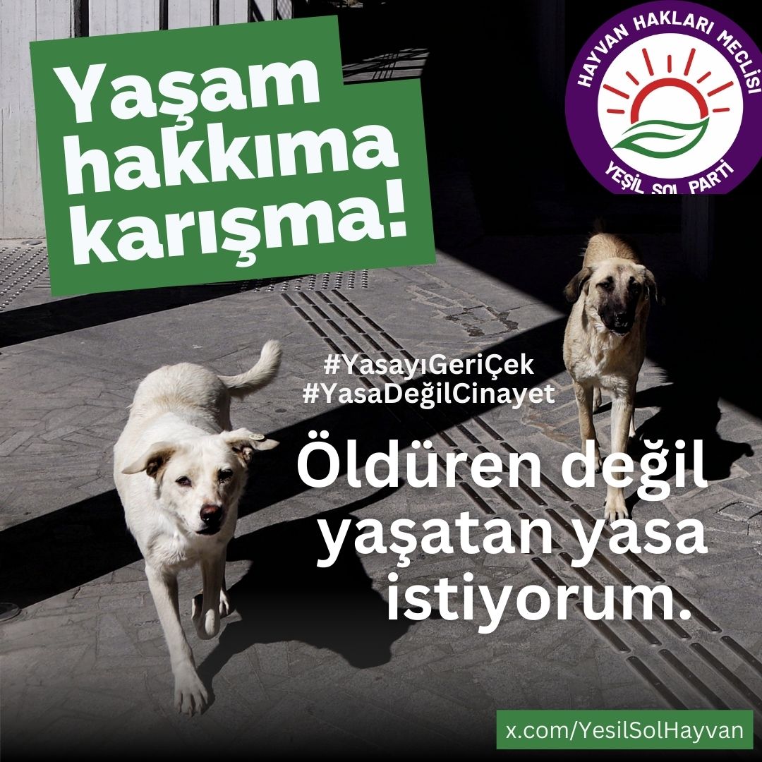 Öldüren değil yaşatan yasa istiyorum!
Yaşam hakkıma karışma!
#YasayiGeriÇek 
<a href="/YesillerSol/">Yeşil Sol Parti</a> <a href="/yasamicinyasa/">Yaşam İçin Yasa #YaşamİçinYasa</a>