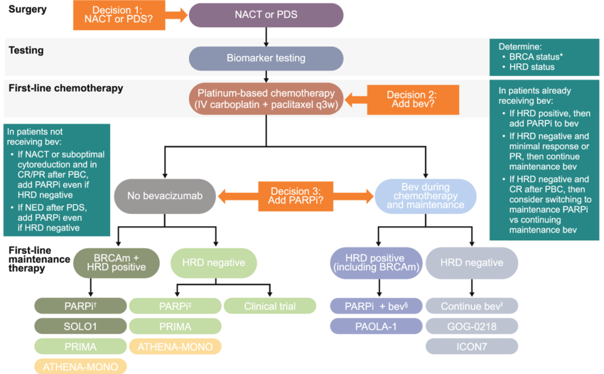 jennifermarksmd's tweet photo. To my friends studying for boards, I highly recommend downloading the @ASCO #guidelines app. @ASCOTECAG 
Also -here are some excellent #Ovariancancer algorithms. @ABIMcert #gynsm #MedTwitter #OncTwitter
https://t.co/22frpHxhdn https://t.co/ult29JFWUS
