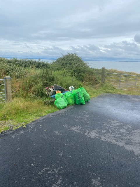 A great clean up today in Lordship. Thanks again to all our volunteers. Next up will be the main Gyles Quay and Blue Flag Templetown beach areas <a href="/CleanCoasts/">Clean Coasts</a>