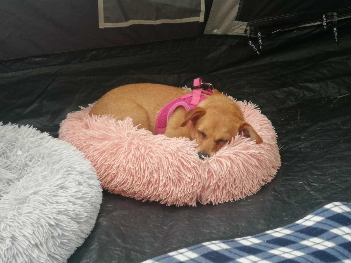 This camping lark is tiring