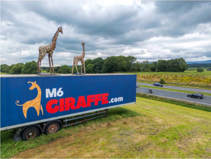 M6 Giraffe 🦒 tweet media